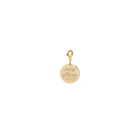 14k small amore medallion disc charm on spring ring